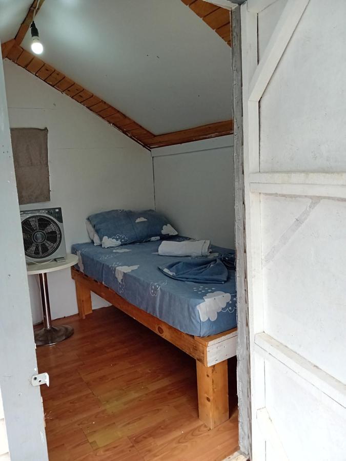 Lodge Alba Garden